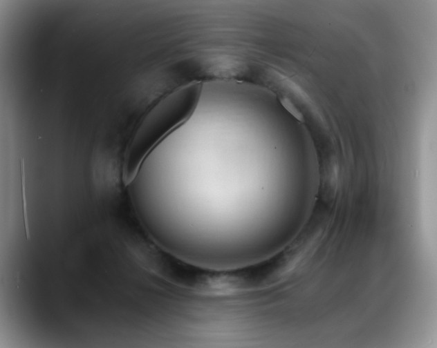 X0000088890268200706081253