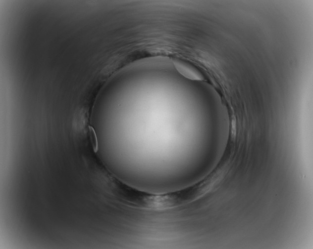 X0000088890273200706081253