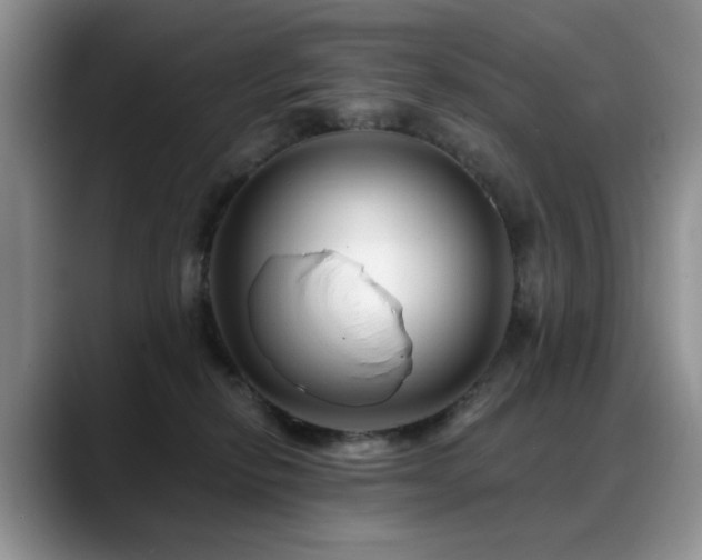 X0000088890278200706081253