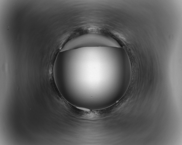 X0000088890288200706081253