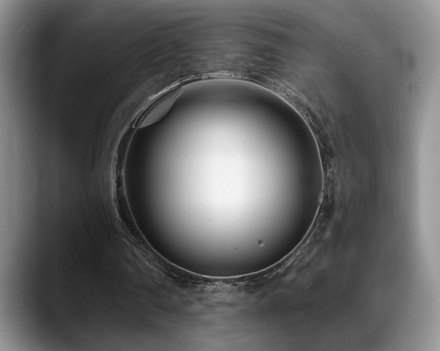 X0000088890290200706081253