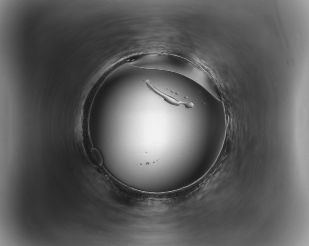 X0000088890292200706081253