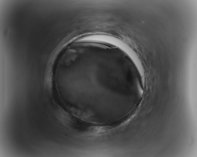 X0000088890295200706081253