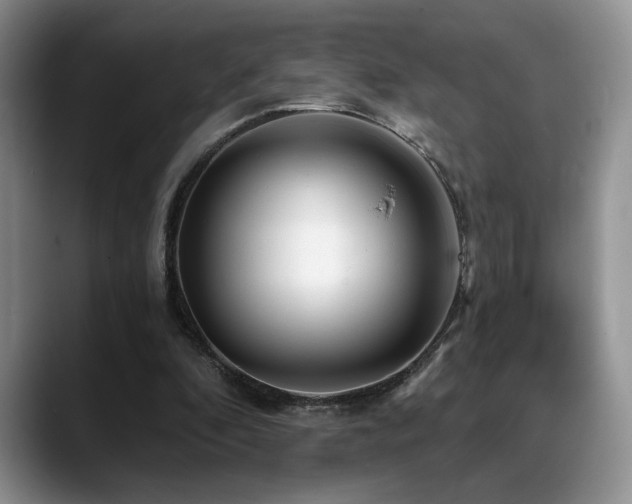 X0000088890296200706081253