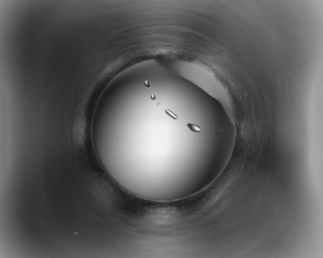 X0000088890304200706081253