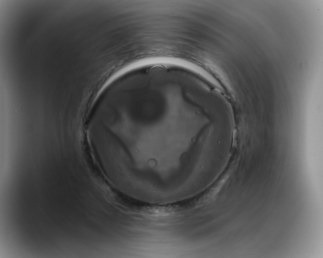 X0000088890305200706081253