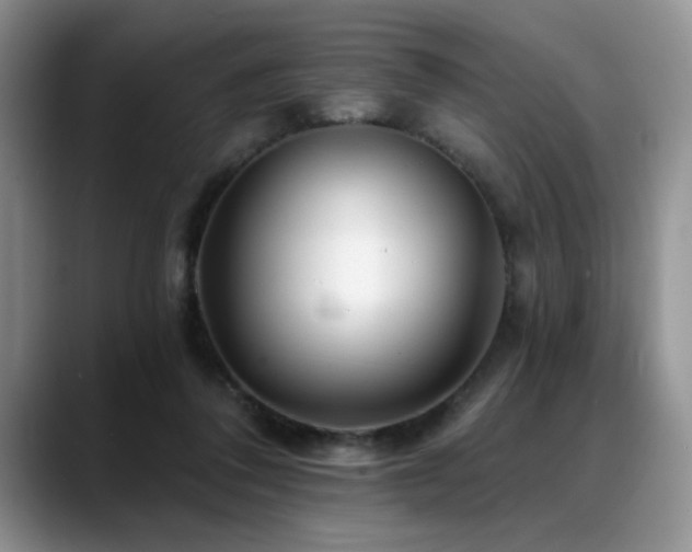 X0000088890308200706081252