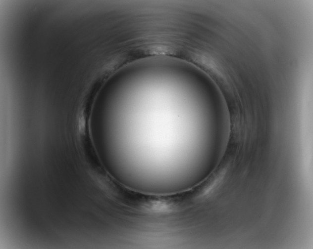 X0000088890310200706081252