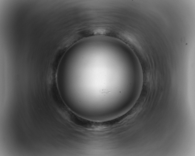 X0000088890311200706081252