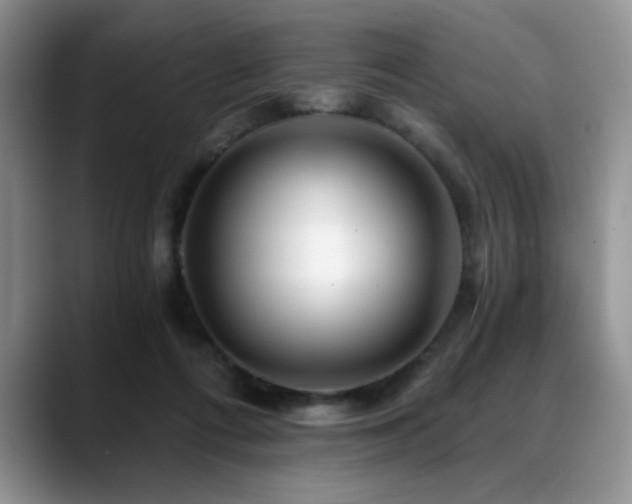 X0000088890312200706081252