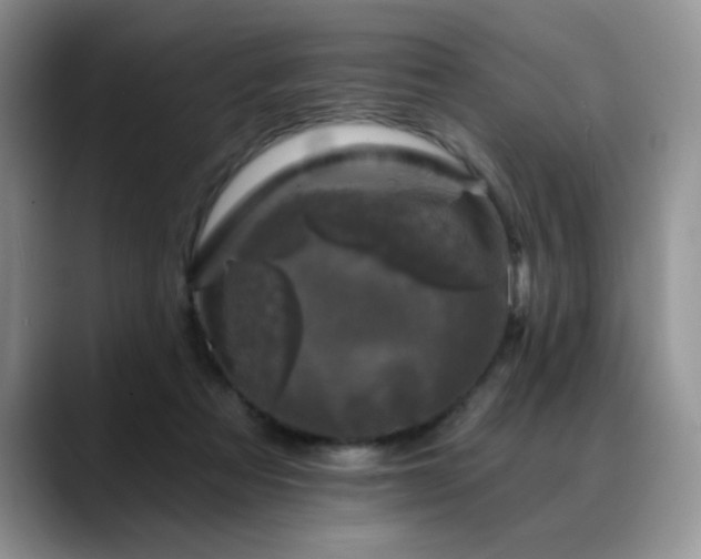 X0000088890313200706081252