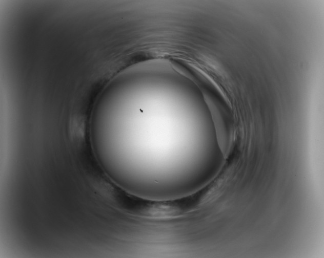 X0000088890315200706081252