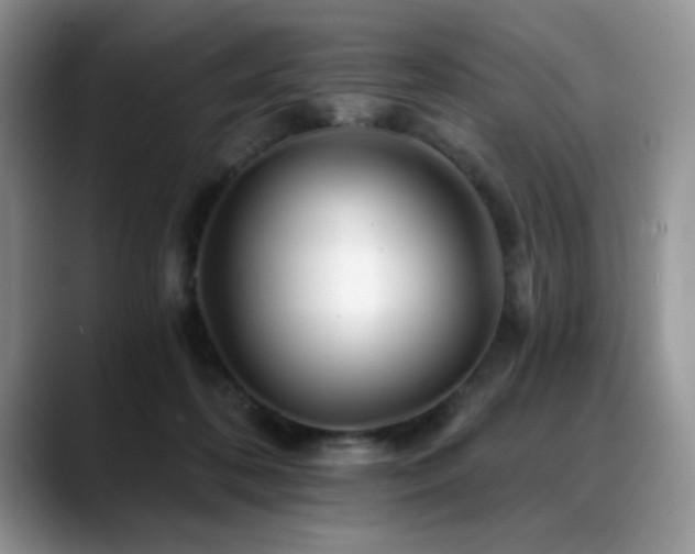 X0000088890316200706081252