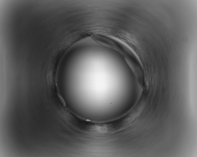 X0000088890317200706081252