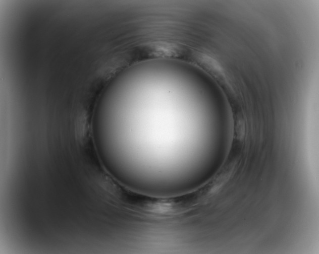 X0000088890318200706081252