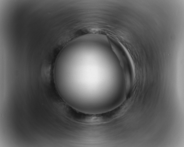 X0000088890319200706081252