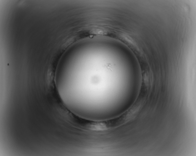 X0000088890322200706081252