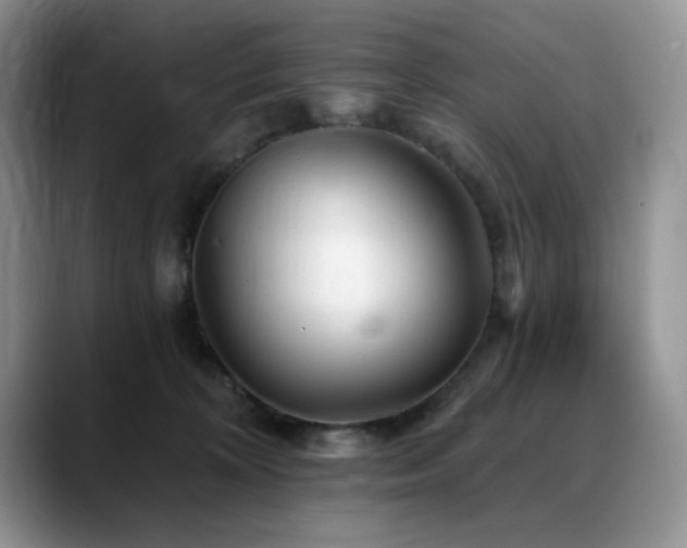 X0000088890324200706081252