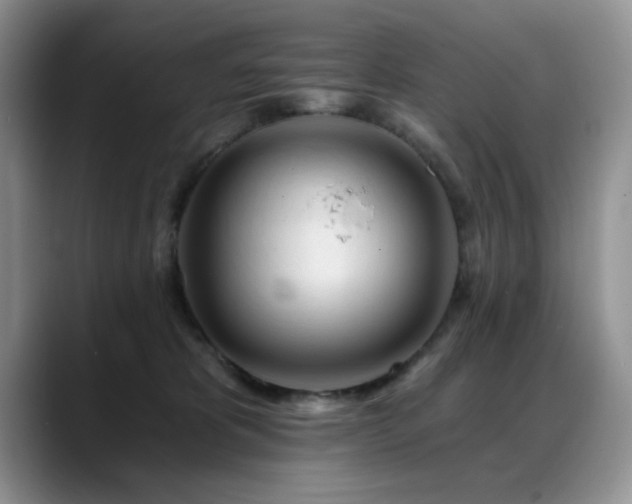 X0000088890325200706081252