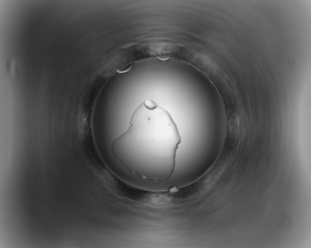 X0000088890327200706081252