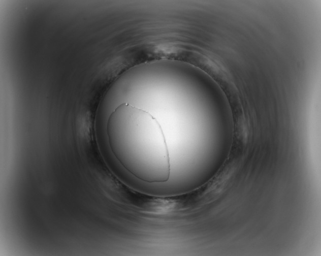 X0000088890328200706081252