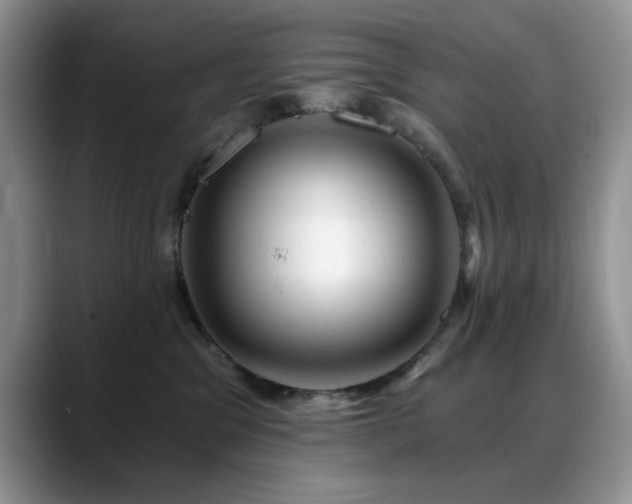 X0000088890329200706081252