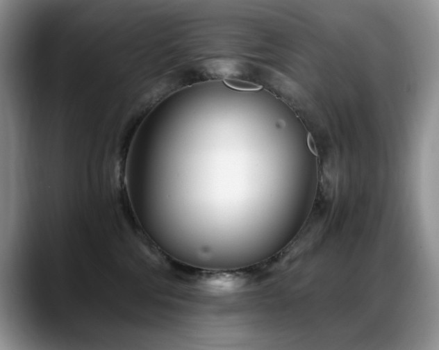 X0000088890330200706081252