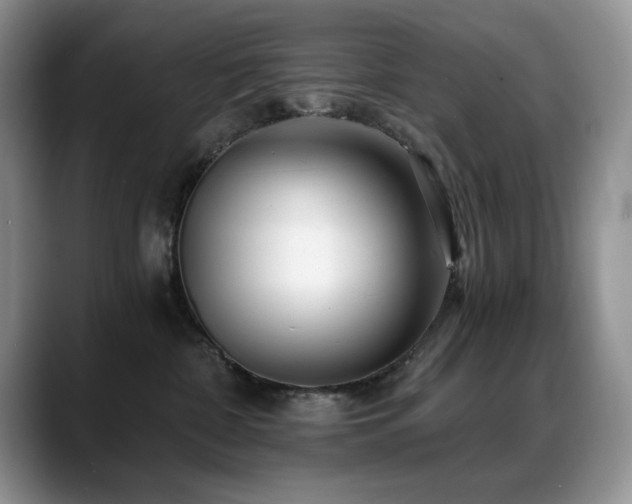 X0000088890332200706081252