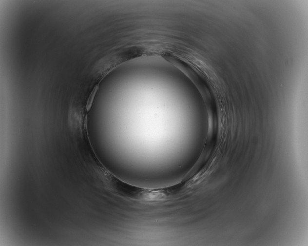 X0000088890333200706081252