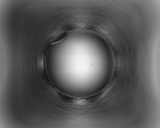 X0000088890334200706081252