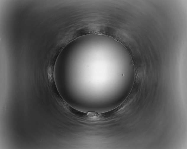 X0000088890335200706081252