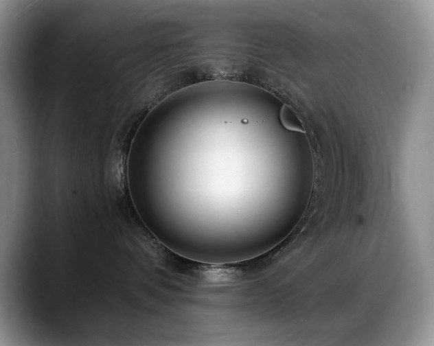 X0000088890336200706081252