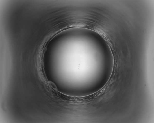 X0000088890337200706081252