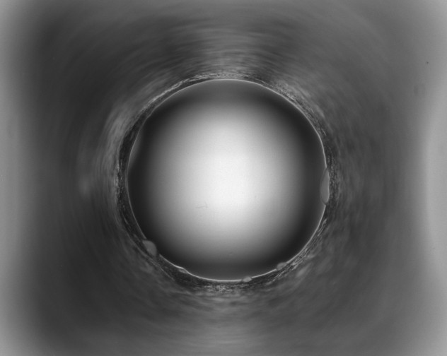 X0000088890338200706081252