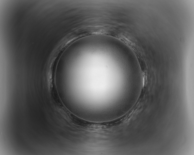 X0000088890339200706081252