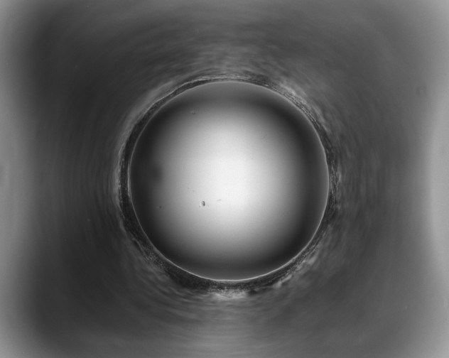 X0000088890340200706081252