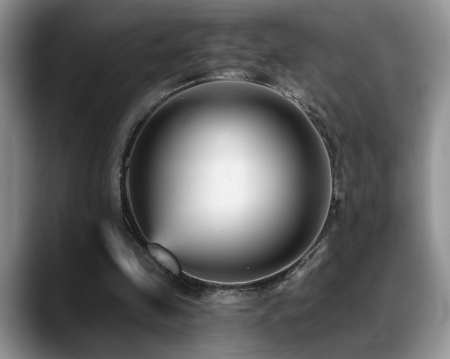 X0000088890341200706081252