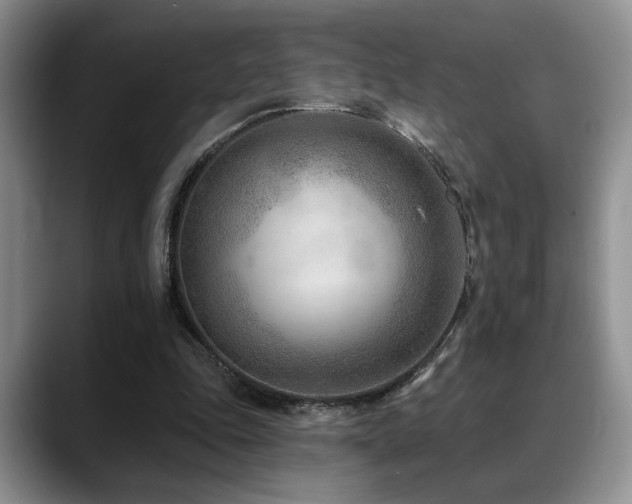 X0000088890343200706081252