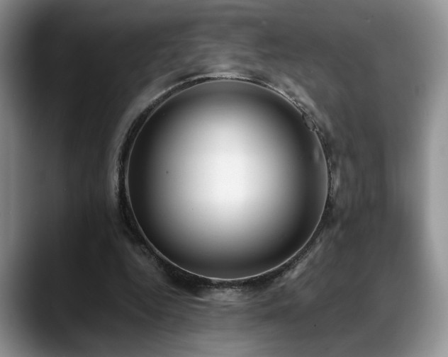 X0000088890344200706081252