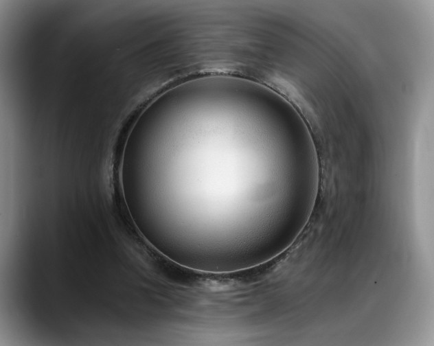 X0000088890346200706081252