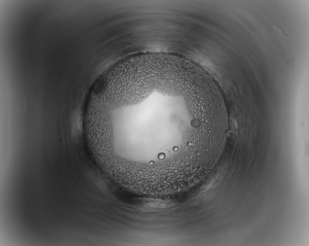 X0000088890347200706081252