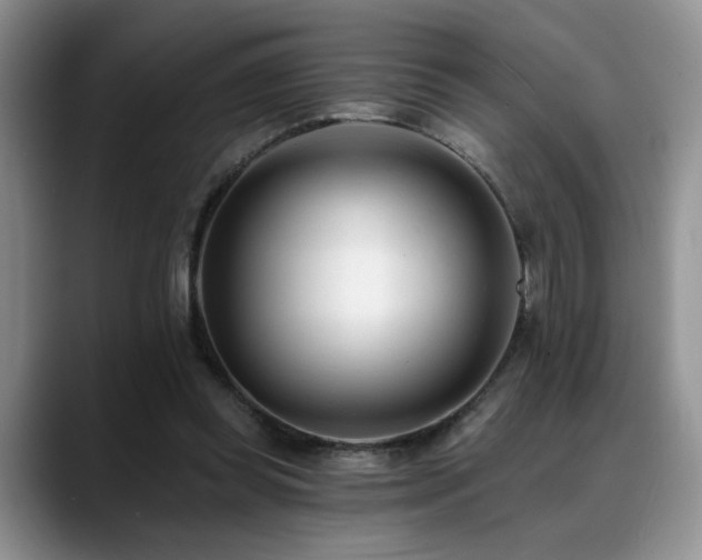 X0000088890349200706081252