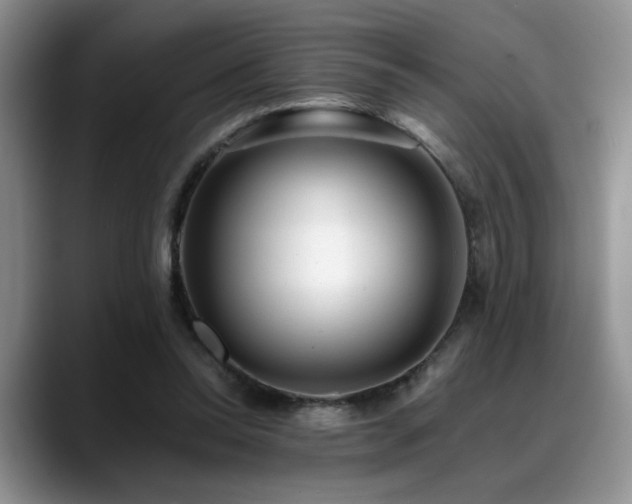 X0000088890350200706081252