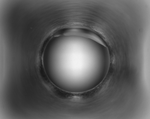 X0000088890352200706081252