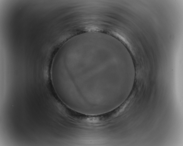 X0000088890353200706081252