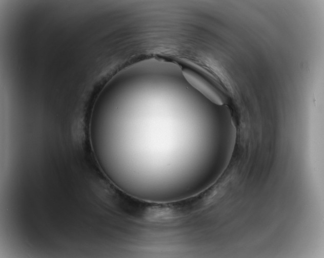 X0000088890354200706081252