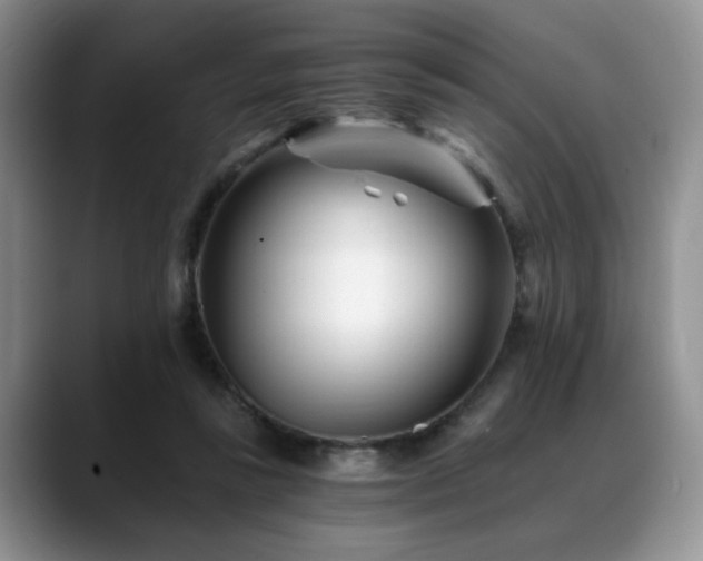 X0000088890355200706081252