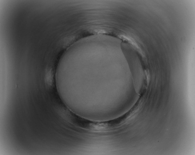 X0000088890359200706081252