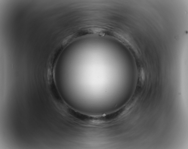 X0000088890360200706081252