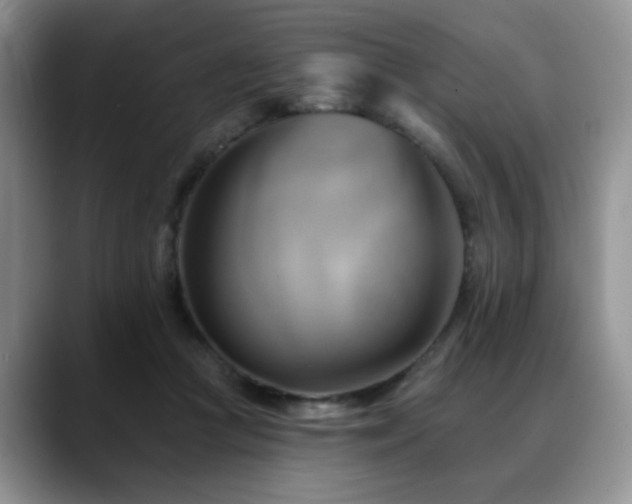 X0000088890361200706081252